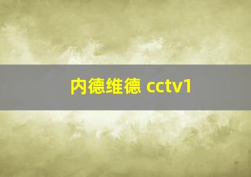 内德维德 cctv1